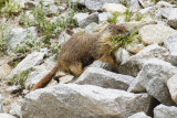 low res _MG_6337.jpg