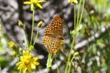 low res _MG_6362.jpg