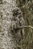 low res _MG_6887.jpg