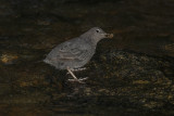 low res _MG_6924.jpg