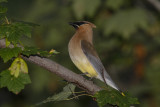 low res _MG_6970.jpg