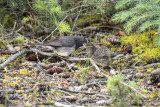 low res _MG_4839.jpg