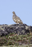 low res _MG_4968.jpg