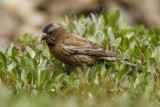low res _MG_5191.jpg