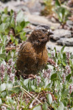 low res _MG_5229.jpg