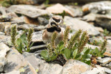 low res _MG_5240.jpg