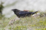 low res _MG_5360.jpg