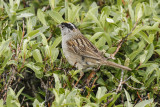 low res _MG_5529.jpg