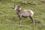low res _MG_5695.jpg