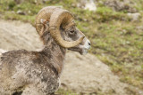 low res _MG_5702.jpg