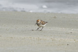 low res _MG_7653.jpg