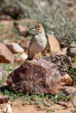 low res _MG_1028.jpg