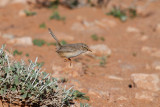 low res _MG_1307.jpg