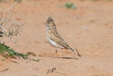 low res _MG_1407.jpg