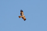 low res _MG_1476.jpg