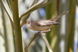 low res _MG_1607.jpg