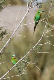 low res _MG_1650.jpg