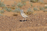 low res _MG_1910.jpg