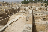 Jerash temenos of the Sanctuary of Zeus 0748.jpg