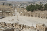 Jerash oval forum 0770.jpg