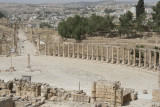 Jerash oval forum 0771.jpg