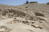 Jordan Pella 2013 1152.jpg