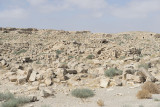 Jordan Umm er-Rasas 2013 2700.jpg