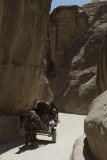 Jordan Petra 2013 1596.jpg