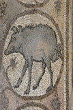Jordan Petra 2013 2293b Byzantine Church mosaic.jpg