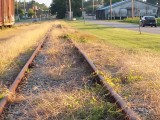 CameraZOOM-20150715194703767.jpg