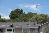Vent placement