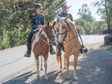 Virginia Bacon 2014 Day of the Horse-0156.jpg