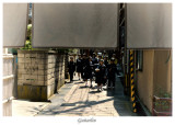 Japan 2013