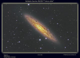 NGC253 - The Silver Coin