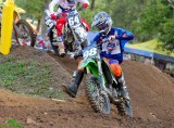 IMG_7796 KESTEN SM.jpg