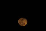 Blood Moon