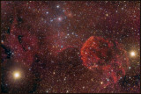 The Jellyfish nebula IC 443