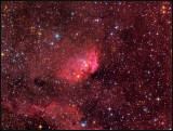 TULIP NEBULA and Cygnus X1