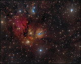 NGC 2170 complex
