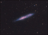 NGC 55  Galaxy