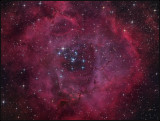 The Rosette nebula 