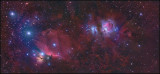 Orion mosaic