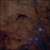 Barnard 252 - The Dolphin nebula