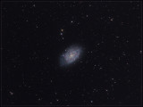 NGC 7793 in Sculptor