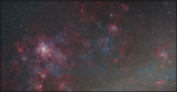 The Tarantula nebula and the Large Magellanic Cloud