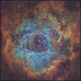 Deep into the Rosette nebula