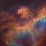 The Seagull nebula 