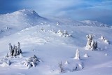 Winter at Norefjell
