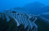 Rice Terraces, Longsheng