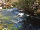 Mountain Stream